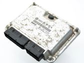 Engine control unit/module ECU