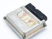 Engine control unit/module ECU