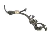 Other wiring loom