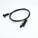 Ignition lock cable
