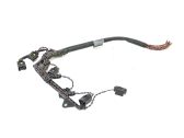 Other wiring loom