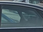 Rear door window glass