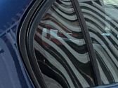 Loading door trunk window/glass