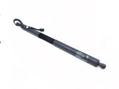 Tailgate strut