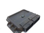 Engine control unit/module ECU