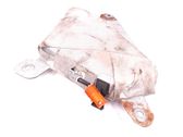Airbag de la puerta delantera