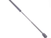 Tailgate/trunk strut/damper