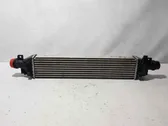 Intercooler radiator