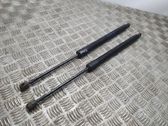 Tailgate/trunk strut/damper
