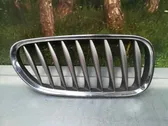 Atrapa chłodnicy / Grill