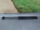 Tailgate/trunk strut/damper