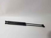 Tailgate/trunk strut/damper
