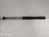 Tailgate/trunk strut/damper