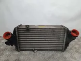 Radiador intercooler