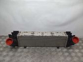 Intercooler radiator
