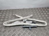 Airbag del techo