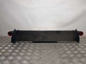 Radiador intercooler