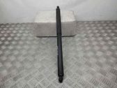 Tailgate/trunk strut/damper
