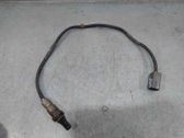 Lambda probe sensor