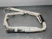 Airbag de toit