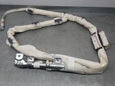 Airbag del techo
