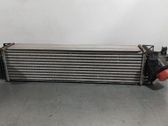 Radiador intercooler