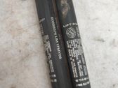 Tailgate/trunk strut/damper