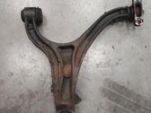Front lower control arm/wishbone