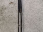 Tailgate/trunk strut/damper