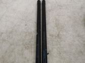 Tailgate/trunk strut/damper