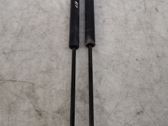 Tailgate/trunk strut/damper