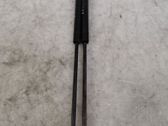 Tailgate/trunk strut/damper
