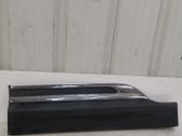 Rear door trim (molding)