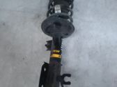 Front shock absorber with coil spring