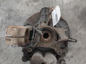Front wheel hub spindle knuckle