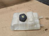 Coolant expansion tank/reservoir cap