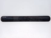 Listón embellecedor de la puerta delantera (moldura)