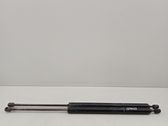 Tailgate/trunk strut/damper