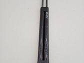 Tailgate/trunk strut/damper