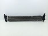 Intercooler radiator