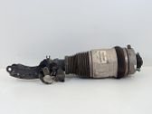 Stoßdämpfer vorne