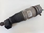 Rear shock absorber/damper