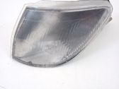Front bumper turn signal
