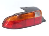 Tailgate rear/tail lights