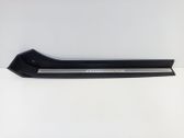 Front door trim (molding)