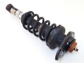 Stoßdämpfer hinten
