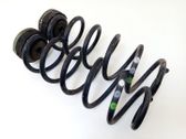 Rear coil spring