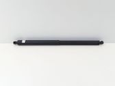 Tailgate/trunk strut/damper