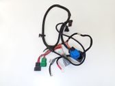 Other wiring loom