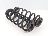 Rear coil spring